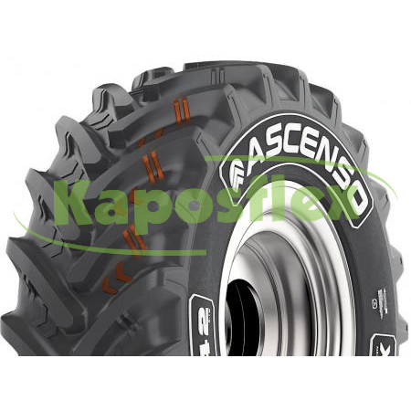 Ascenso XLR880 178D TL (8007038)